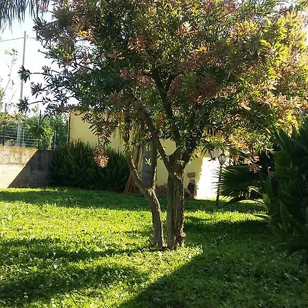 Villettemire 10 *